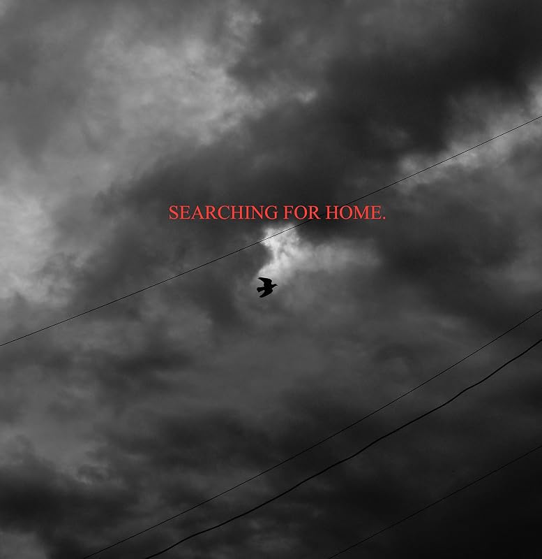 Searching for home.: Volume 1 by Kevin Matthews