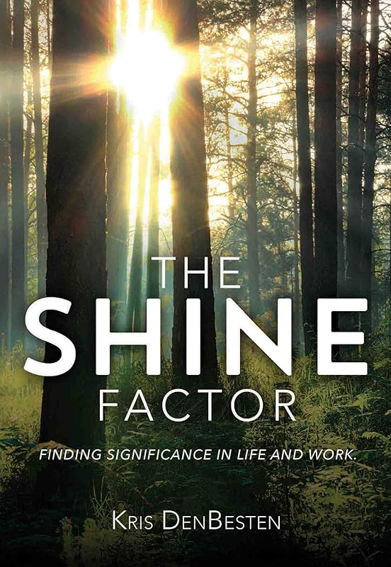 The Shine Factor by Kris DenBesten