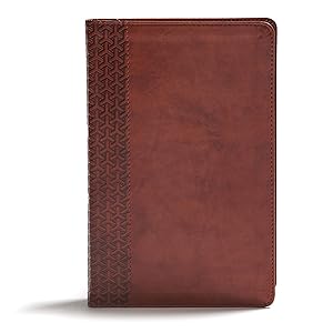 CSB Everyday Study Bible, British Tan LeatherTouch, Black Letter, Study Notes, Illustrations, Aricles, Easy-to-Carry, Easy-to-Read Bible Serif Type