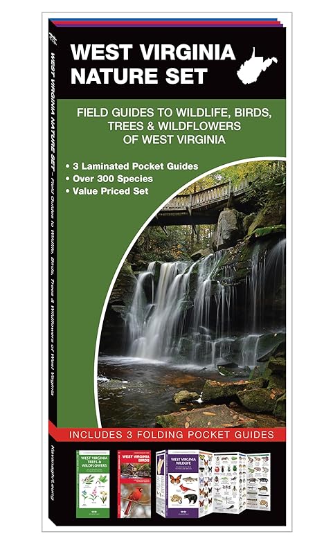 West Virginia Nature Set: Field Guides to Wildlife, Birds, Trees & Wildflowers of West Virginia by James Kavanagh Waterford Press