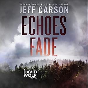 Echoes Fade: David Wolf Mystery Thriller Series, Book 17 by Jeff Carson
