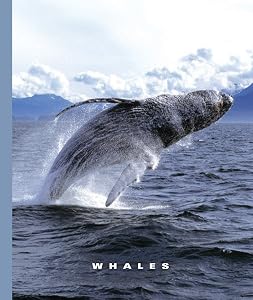 Whales (The World of Mammals)