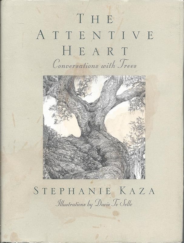 The Attentive Heart: Conversations with Trees by Stephanie Kaza