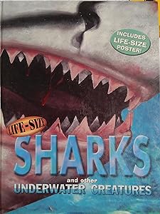 Sharks and Other Underwater Creatures
