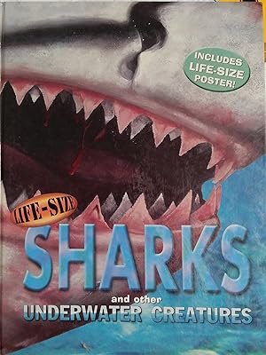 Sharks and Other Underwater Creatures