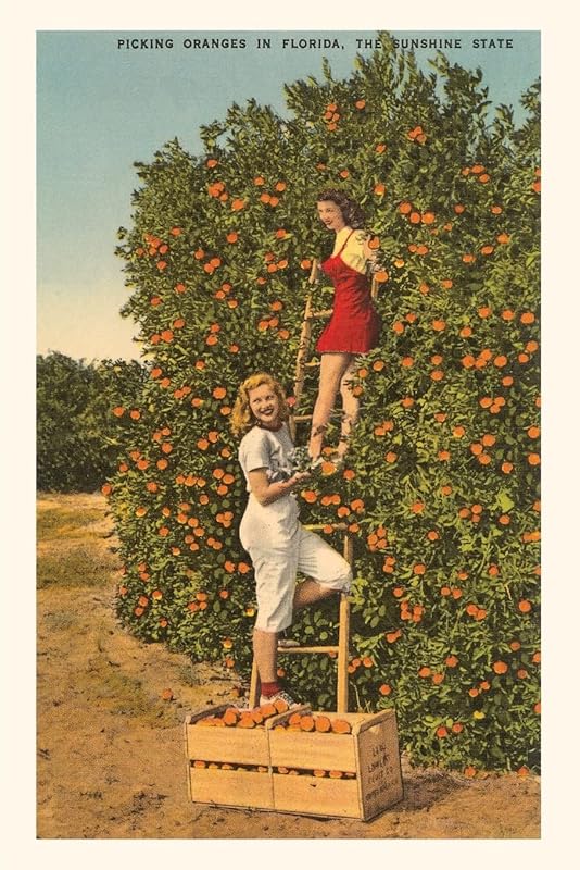 Vintage Journal Women Picking Oranges, Florida (Pocket Sized - Found Image Press Journals) by Found Image Press