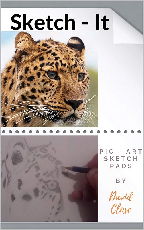 Sketch-It: PIC - ART SKETCH PADS by David Close
