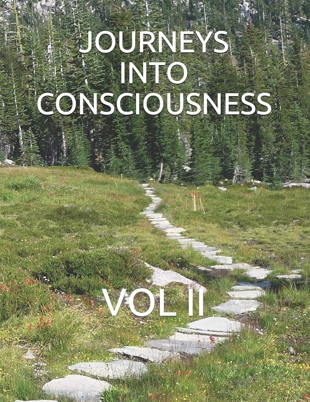 Journeys Into Consciousness: Vol II by G