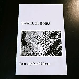 Small Elegies