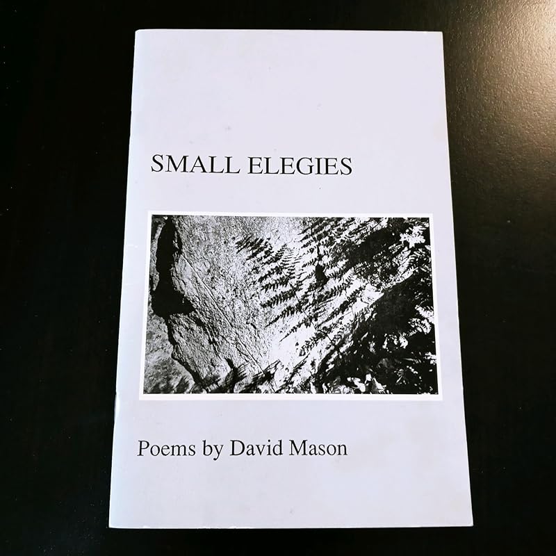 Small Elegies by David Mason