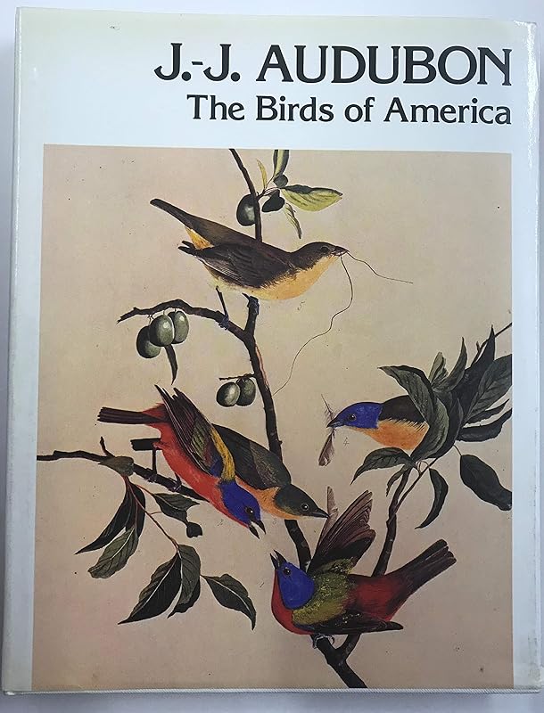 JJ Audubon: The Birds Of America by Rh Value Publishing