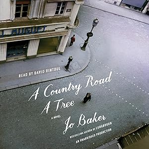 A Country Road, a Tree: A Novel