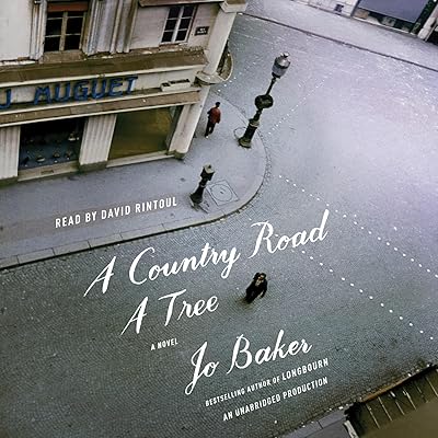 A Country Road, a Tree: A Novel