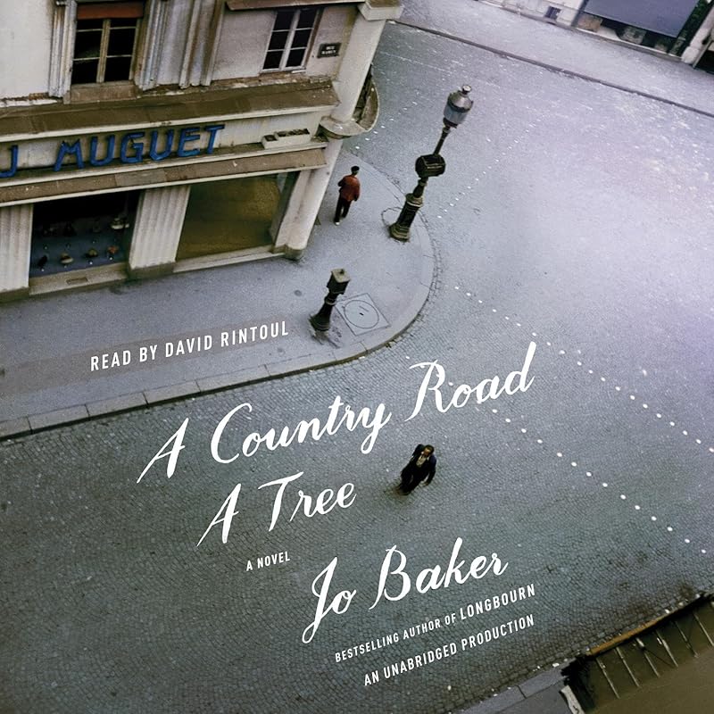 A Country Road, a Tree: A Novel by Jo Baker
