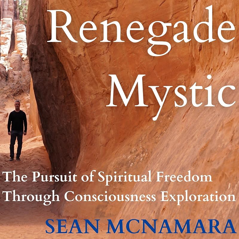 Renegade Mystic: The Pursuit of Spiritual Freedom Through Consciousness Exploration by Sean McNamara