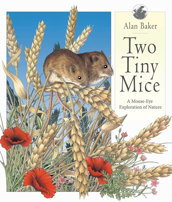 Two Tiny Mice: A Mouse-Eye Exploration of Nature by Alan Baker