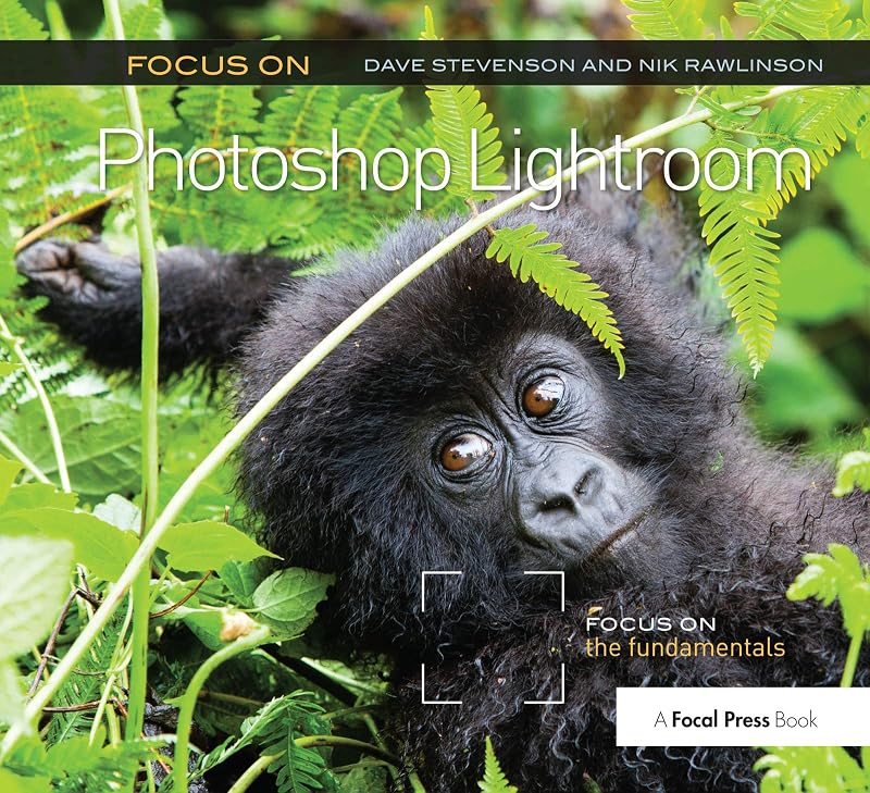 Focus On Photoshop Lightroom: Focus on the Fundamentals (The Focus On Series) by Dave Stevenson