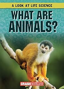 What Are Animals? (Look at Life Science)