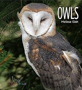 Living Wild: Owls