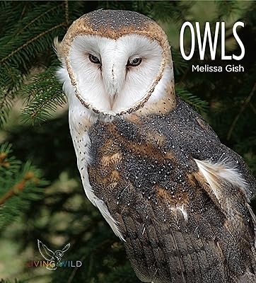 Living Wild: Owls