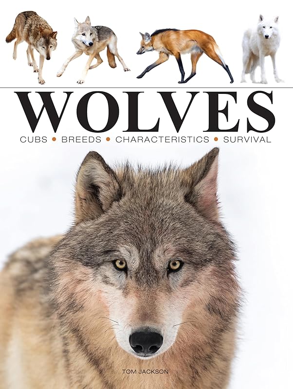 Wolves (Mini Encyclopedia) by Tom Jackson