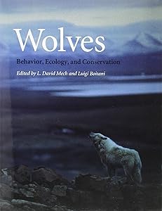 Wolves: Behavior, Ecology, and Conservation by L. David Mech