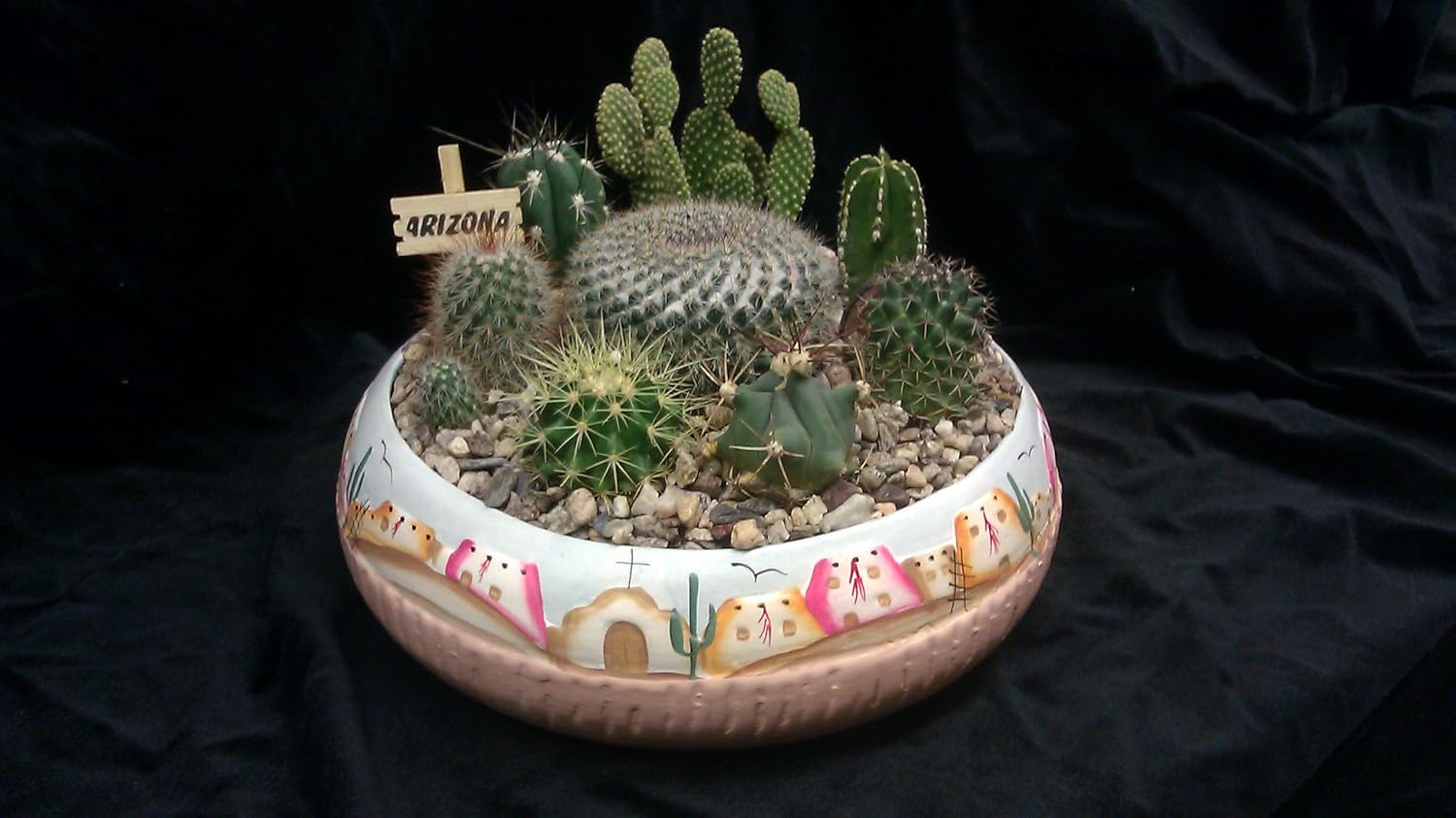 Tropical Plants - Cactus Garden