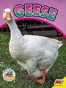 Geese (Animals on the Farm)