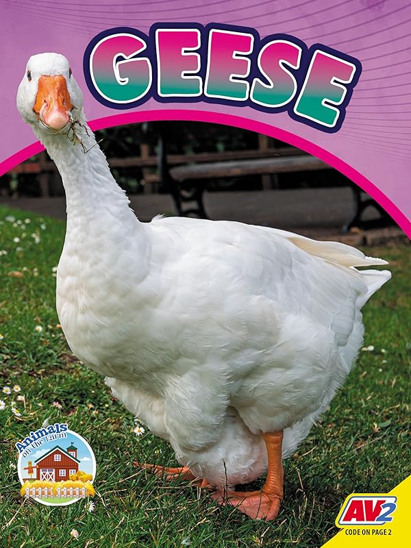 Geese (Animals on the Farm) by Sierra Wilson