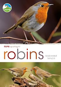 RSPB Spotlight: Robins
