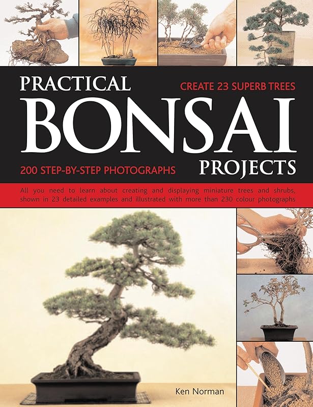 Practical Bonsai Projects: Create 23 Superb Trees Step-by-Step: All you need to learn about creating and displaying miniature trees and shrubs, shown in ... with more than 300 color photographs by Ken Norman