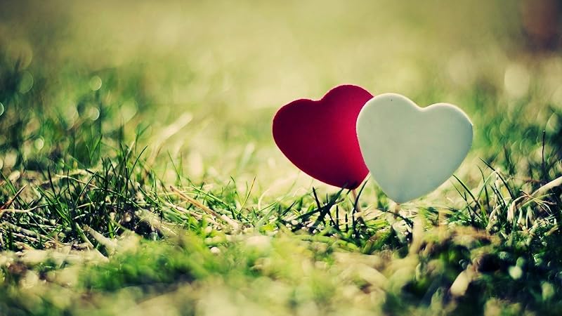 Passion about Love: Short Love Stories by Piyush Arora