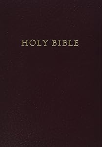 HCSB Gift & Award Bible, Burgundy Imitation Leather
