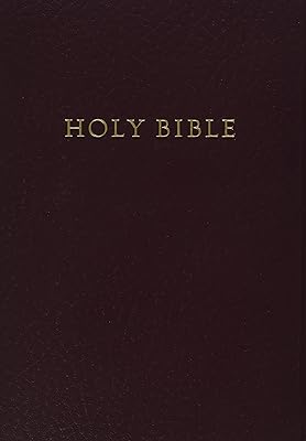 HCSB Gift & Award Bible, Burgundy Imitation Leather
