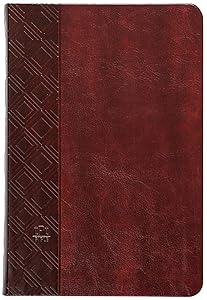The Passion Translation New Testament (2020 Edition) Brown: With Psalms, Proverbs, and Song of Songs (Faux Leather) – A Perfect Gift for Confirmation, Holidays, and More