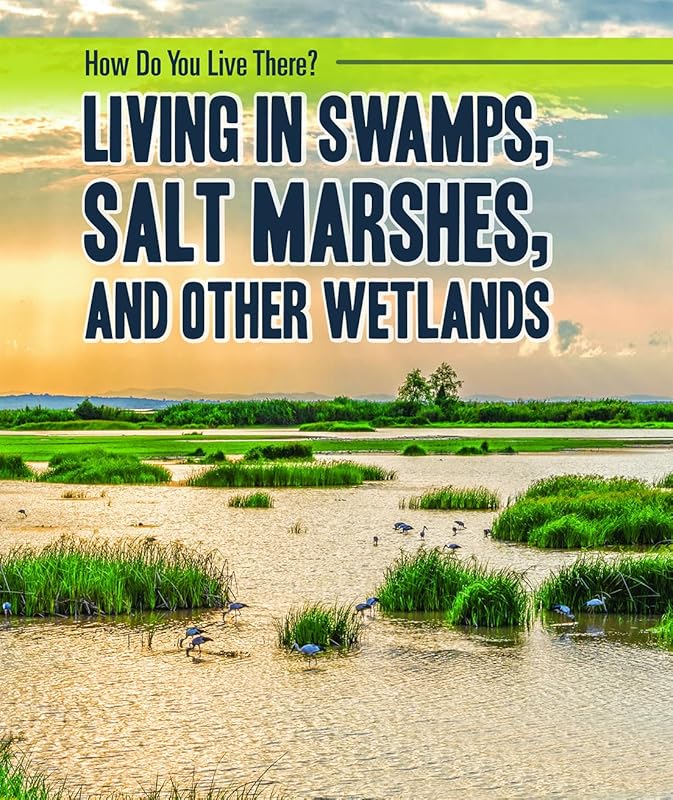 Living in Swamps, Salt Marshes, and Other Wetlands (How Do You Live There?) by Joanne Mattern