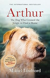 Arthur: The Dog who Crossed the Jungle to Find a Home ((Now the Film Arthur the King)) by Mikael Lindnord