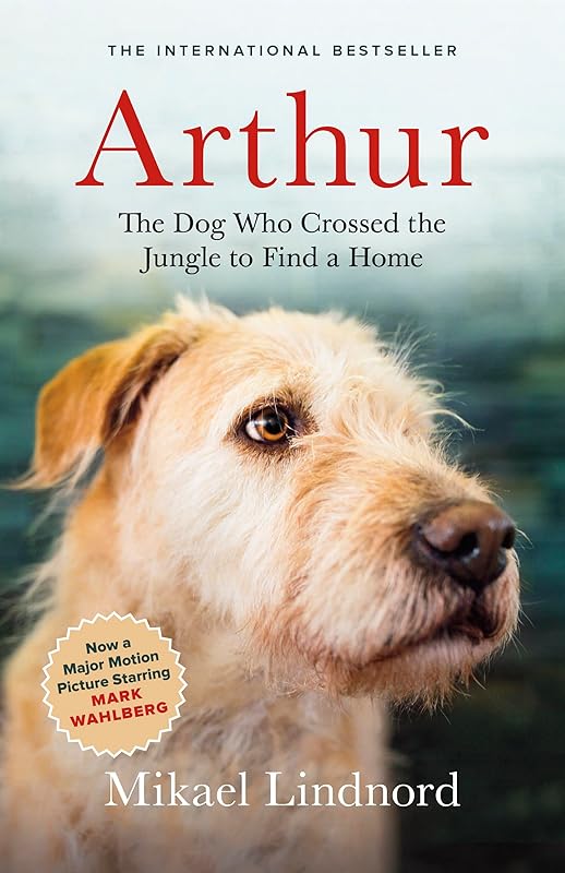 Arthur: The Dog who Crossed the Jungle to Find a Home ((Now the Film Arthur the King)) by Mikael Lindnord