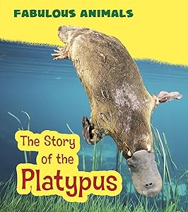 Story Of The Platypus