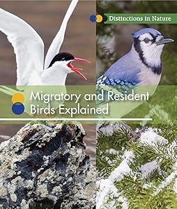 Migratory and Resident Birds Explained (Distinctions in Nature)
