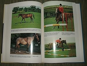 Practical Showjumping (Ward Lock Riding School)
