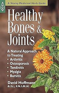 Healthy Bones & Joints: A Natural Approach to Treating Arthritis, Osteoporosis, Tendinitis, Myalgia & Bursitis by David Hoffmann