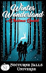 Winter Wonderland: A Christmas Quartet: A Nocturne Falls Universe collection by Fiona Roarke