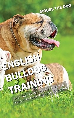 ENGLISH BULLDOG TRAINING: All the tips you need for a well-trained English Bulldog