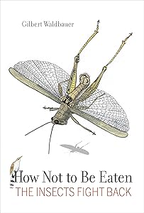 How Not to Be Eaten: The Insects Fight Back by Dr. Waldbauer, Gilbert