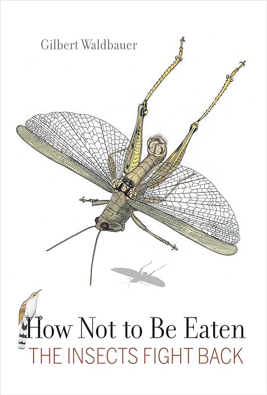 How Not to Be Eaten: The Insects Fight Back by Dr. Waldbauer, Gilbert
