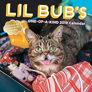 Lil Bub’s One-of-a-Kind 2019 Wall Calendar by Lil Bub