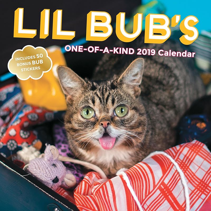 Lil Bub’s One-of-a-Kind 2019 Wall Calendar by Lil Bub