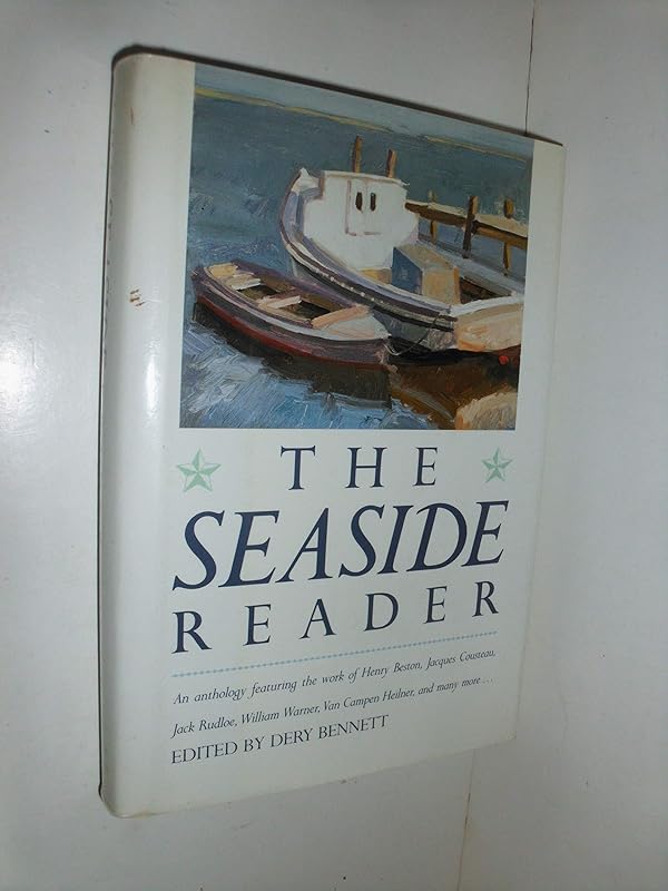 The Seaside Reader by D. W. Bennett