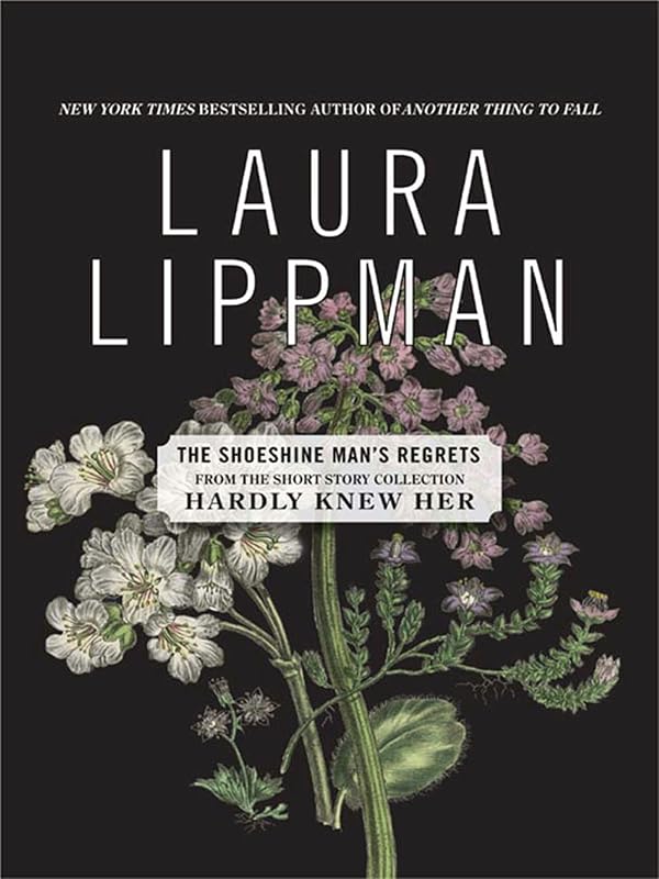 The Shoeshine Man's Regrets by Laura Lippman